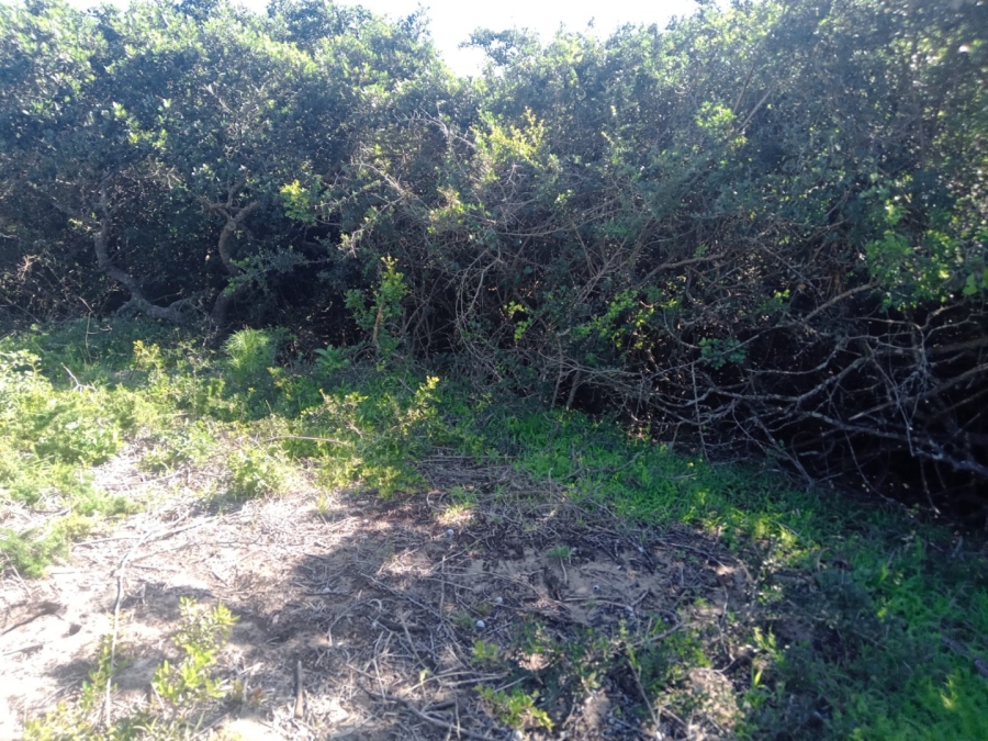 Commercial Property for Sale in Paradise Beach Eastern Cape
